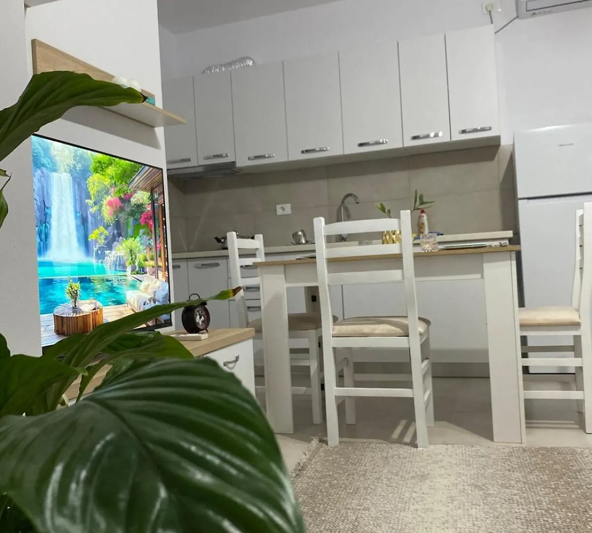 Main Apartment Bulevard 5 Tirana Albanien